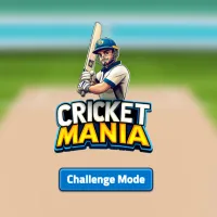 Play Cricket Mania now!